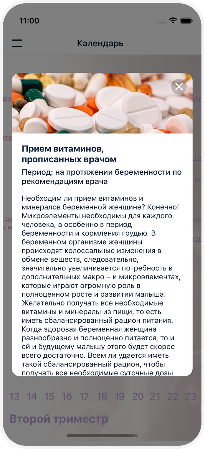 Stork