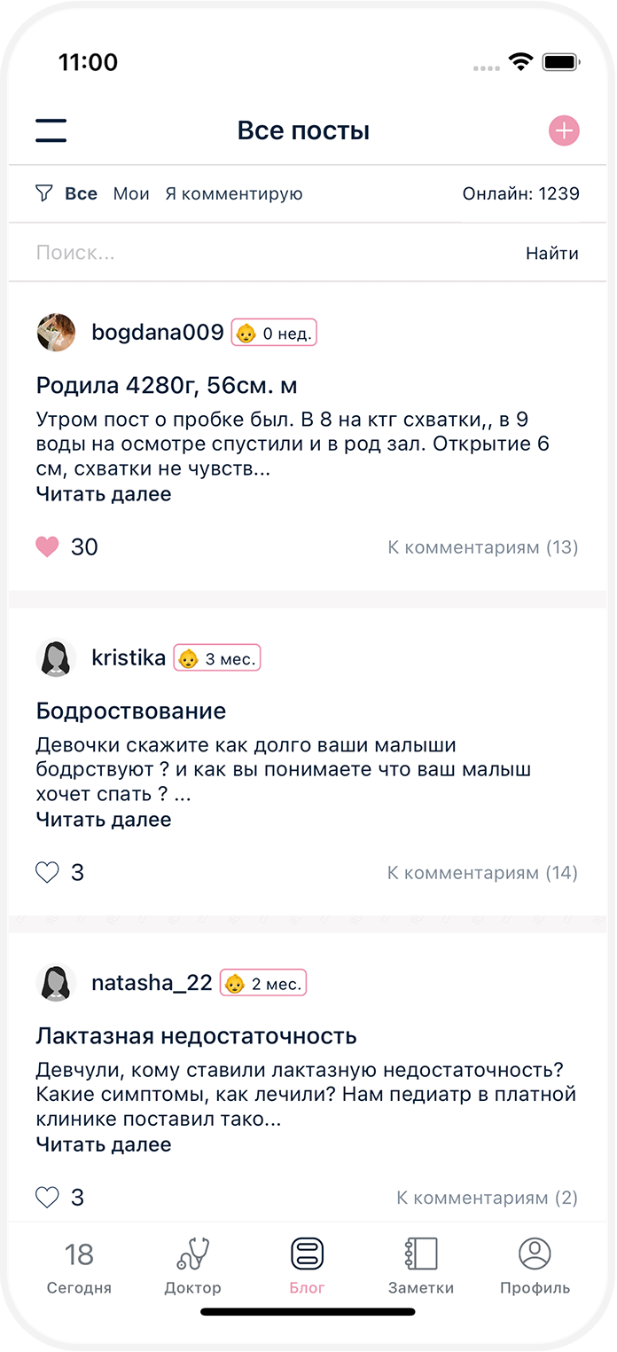 Stork